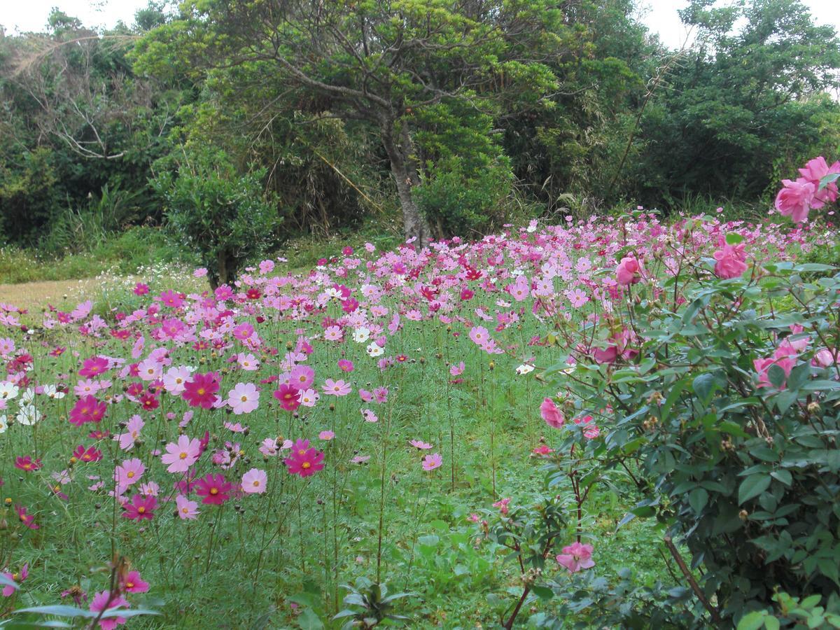Matayoshi Coffee Farm Villa Higashi Eksteriør bilde