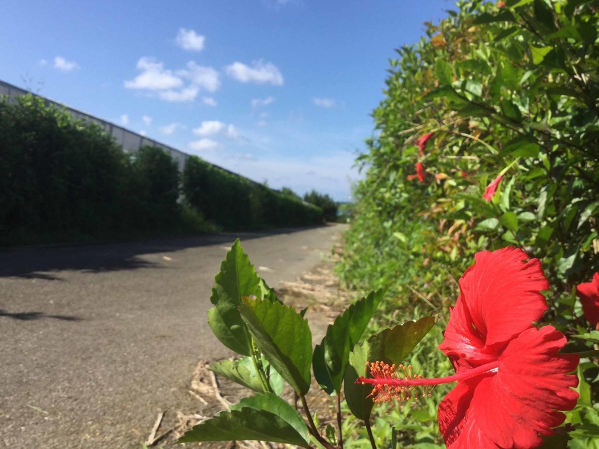 Matayoshi Coffee Farm Villa Higashi Eksteriør bilde